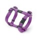 Rogz Utility Harness Purple
